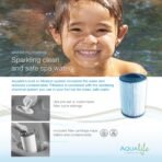 Aqualife Current 4-Person Plug & Play Outdoor Hot Tub with Cover - Image 19